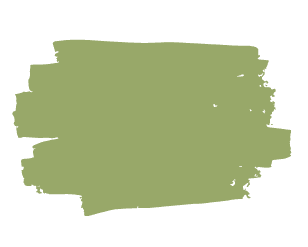 Swatch of the principal sponsors' attire colour: a rich forest green